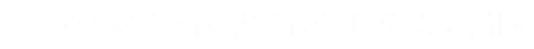 ガンをも消し去る超健康体の設計図